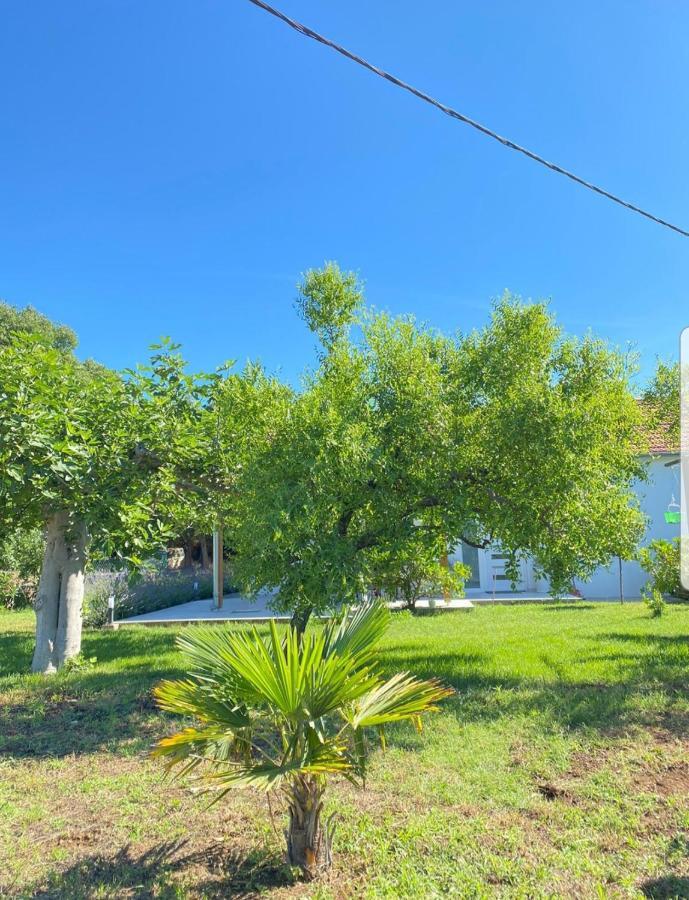 Sukošan Holiday House Lucia מראה חיצוני תמונה