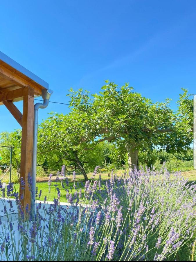 Sukošan Holiday House Lucia מראה חיצוני תמונה